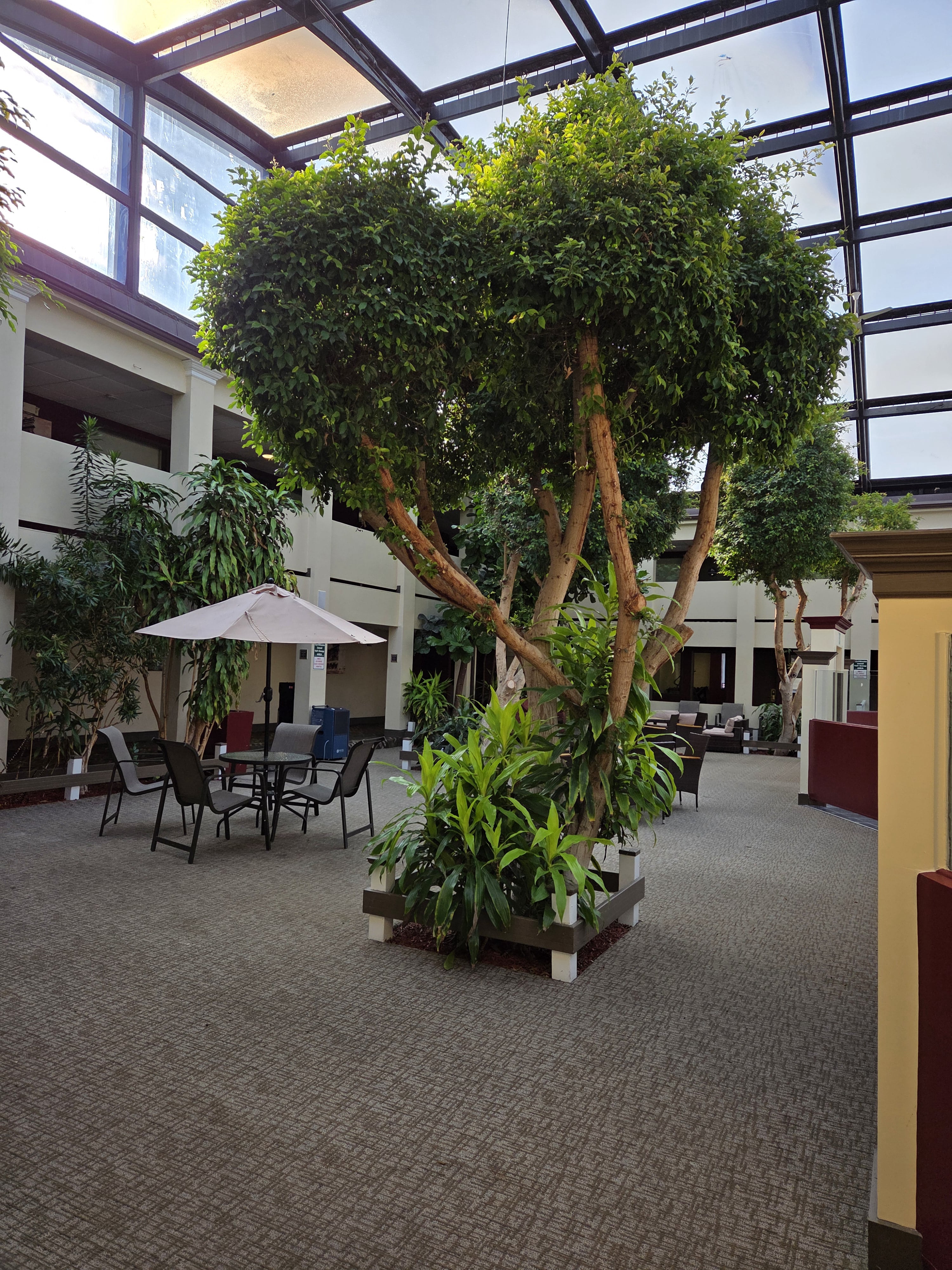 atrium area